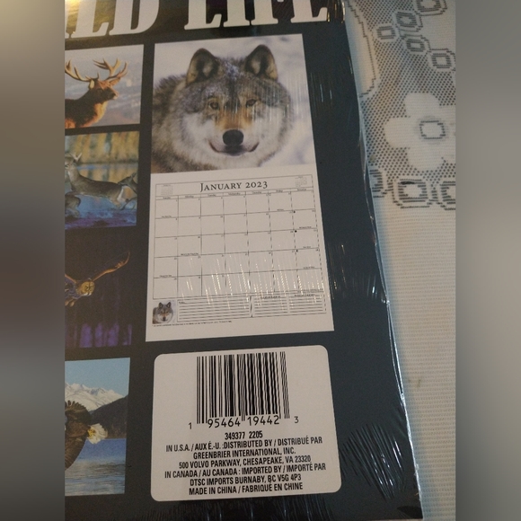 North America Wild Life 12*12" Wall Calendar 2023 Eagle Flying on Cover - Picture 4 of 5